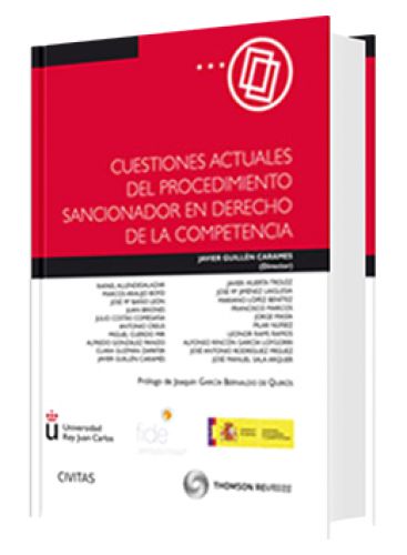 CUESTIONES ACTUALES DEL PROCEDIMIENTO SA..